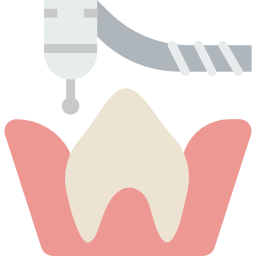 molar (1)